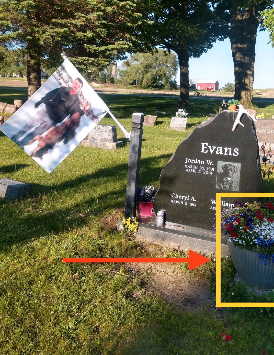 Thief/thieves stealing flowers from cemetery.