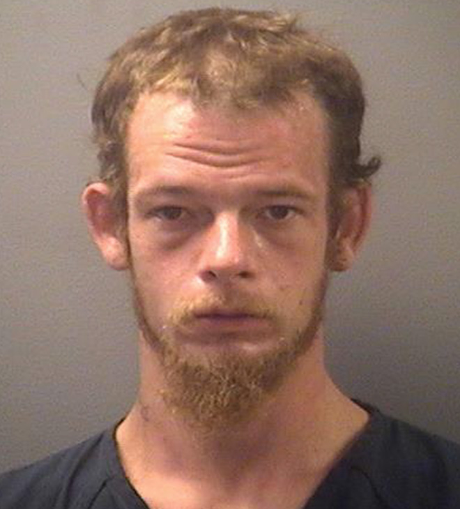 Man faces multiple felony charges following dog death ...